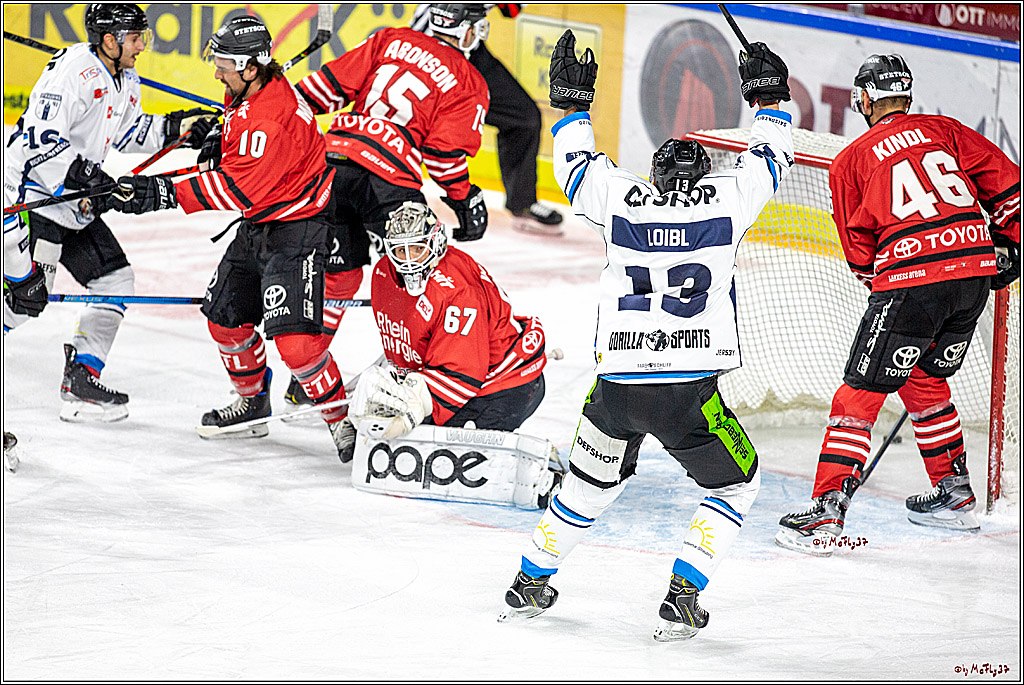 DEL; Koelner Haie - Straubing Tigers; Koeln, 17.11.2019